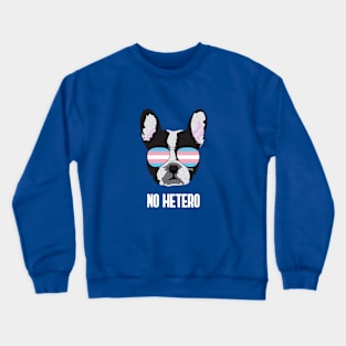 NO HETERO - Boston Terrier Dog Trans Transgender Pride Flag Crewneck Sweatshirt